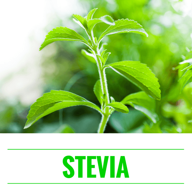 Stevia - det naturlige sødemiddel